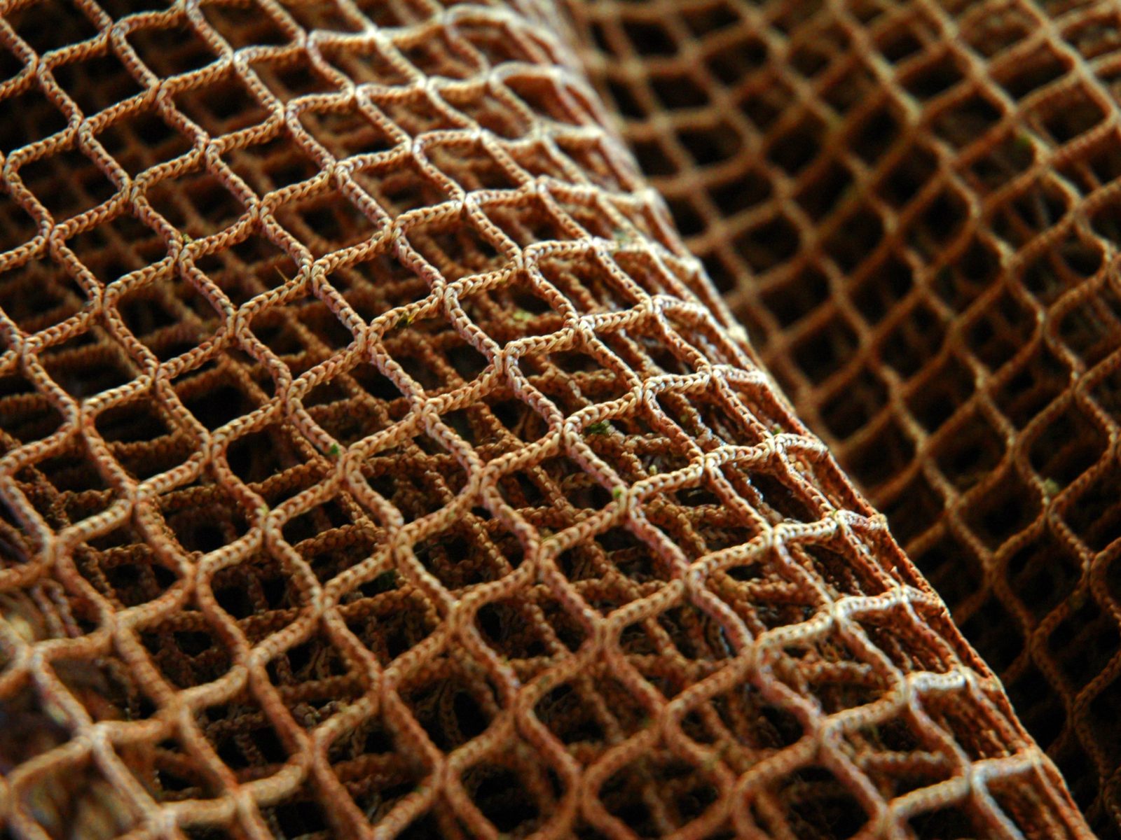 ind 08